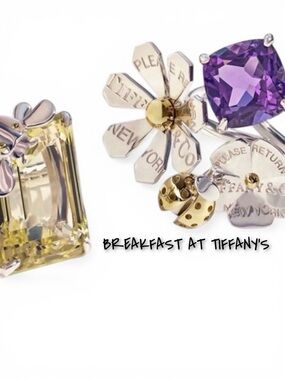 ✨🌸Meet the Posher🌸✨